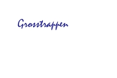 C00 Grosstrappen