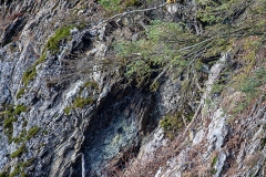 5h51 HP-Bald-Eagle_1DX7255