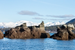 5u HP-Landschaft_1DX0644