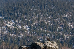 5h4 HP-Landschaft_1DX0657