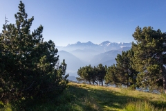 l2 Landschaft-WEB_D9A0296