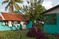d6 Village