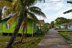 d8 Village