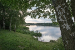 A07