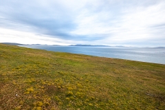 e93 Landscape_1DX7568