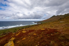 P38 Landscape_87A8945