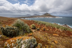 h8 Landscape_87A9016