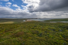 j51 Landscape_87A9871