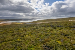 q11 Landscape_87A9883