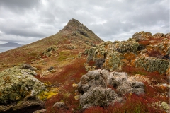 o0 Landscape_D9A0196