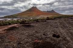Landscape_D9A0372