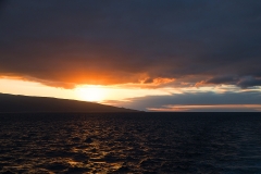 Abendlicht_4