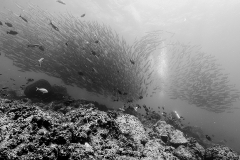 Unterwasser3