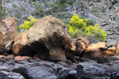 Landscape_1