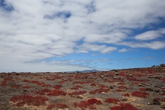 landscape_2