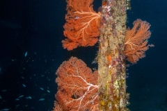 MAirborekJetti16Kopie