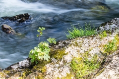 G2 70 Doubs_87A1406