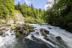 G1 xDoubs_87A1353