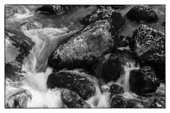 G3 xDoubs_87A1385