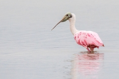 f7Web_Rosa Löffler_87A9677