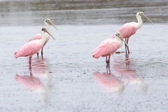 f9Web_Rosa Löffler_87A9706