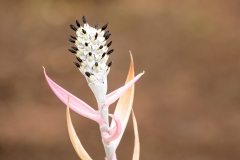 i7iWeb_Bot Garten_87a0510