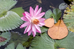 iWeb_Bot Garten_87a0521