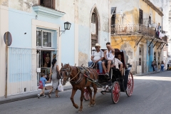 iWeb_Havanna Street Pferdekutsche_87a0183