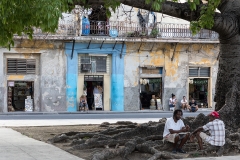 iWeb_Havanna Street_87a0405