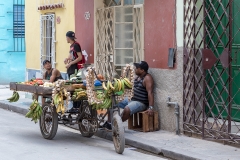 iWeb_Havanna Street_87a0411