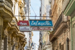 iWeb_Havanna Street_87a0412