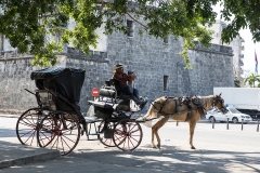 iWeb_Pferdekutsche_87a0196