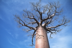 b3