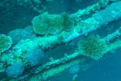 C0 Wrack-Malediven_DSC01033