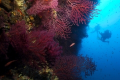 zz1_DSC0012
