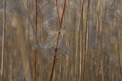 TabletopworkshopTest075