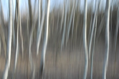 TabletopworkshopTest103