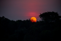 z Sunset_1DX2113