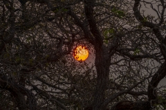 a8 Sunset_1DX9874
