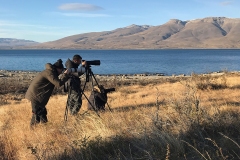 n5 Patagonia-side-shots_4572