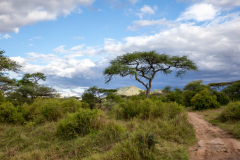 D9 Landschaft-mit-Weg_87A4494