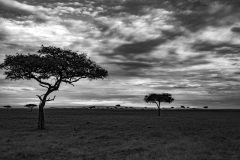 G3 Landschaft_87A5123