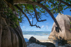 b91 La-Digue_87A6137