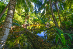 f41 Seychellen-Ans-Interdance_87A5906