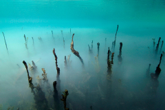 Tauchen - Suesswasser