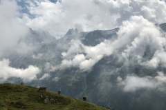 f3 Führenwand-Gipfel_1486