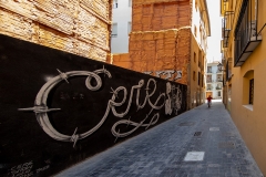 4a Altstadt-Valencia_87A7089