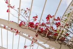 7f Park-Valencia_87A6901