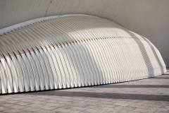 7d Park-Valencia_87A6921