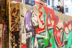 4m Valencia-Stadt-Katze_87A6775